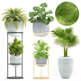 Collection of plants